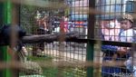 Potret Serulingmas Zoo Diserbu Wisatawan