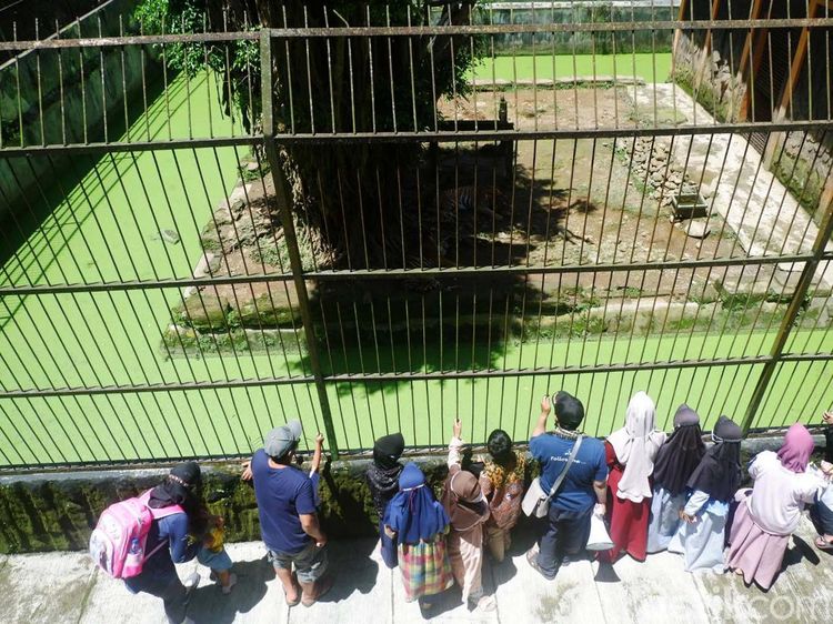 Potret Serulingmas Zoo Diserbu Wisatawan