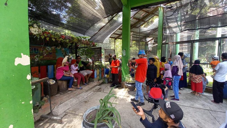 Kebun binatang Solo Zoo diserbu pengunjung.