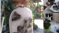 Mengklaim punya es batu yang original, penjual ini tampilkan es batu yang tidak biasa. Lengkap dengan batu yang dibekukan, produk ini diklaim menjadi es batu yang paling asli. Foto: 1cak/Istimewa