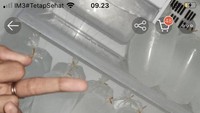 Memasarkan es batu secara online, penjual ini mengaku es batunya yang termurah. Tetapi pengirimannya pasti cukup mahal. Foto: 1cak/Istimewa