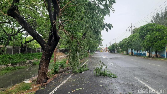 Atap Rumah Warga Terbang Gegara Angin Kencang di Surabaya Hujan dan angin kencang menerjang kawasan Kelurahan Kenjeran, Surabaya. Akibatnya sejumlah pohon tumbang dan atap rumah warga terbang.