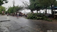 Jalanan di Pantai Kenjeran area Kejawan hingga Nambangan pun berserakan ranting pohon dan dedaunan yang jatuh.