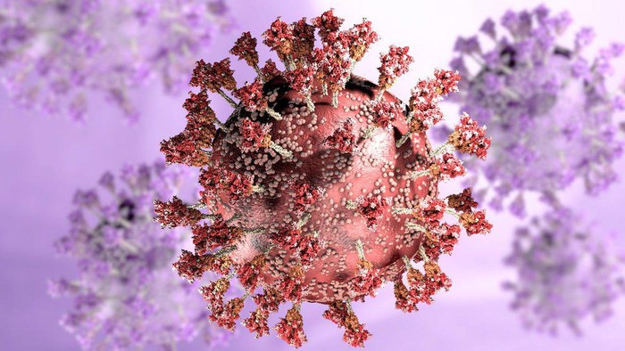 Delmicron Covid menjadi perbincangan publik baru-baru ini. Bagaimana fakta terbarunya? Benarkah Delmicron kombinasi dari varian Delta dan Omicron?