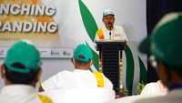 Urea Nitrea adalah produk urea retail non subsidi dengan kandungan nitrogen 46%, berwarna putih dengan bentuk prill dan granulasi. Manfaat utamanya adalah memasok unsur nitrogen yang sangat dibutuhkan tanaman terutama dalam pembentukan hijau daun.