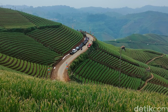 Terasering Panyaweuyan Majalengka Terasering Panyaweuyan Majalengka