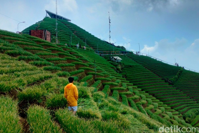 Terasering Panyaweuyan Majalengka