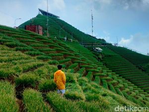 Rekomendasi 5 Wisata Alam Majalengka di Bawah Kaki Gunung Ciremai