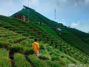 Rekomendasi 5 Wisata Alam Majalengka di Bawah Kaki Gunung Ciremai