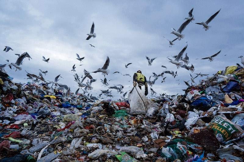 Viewsonic ColorPro Awards 2021