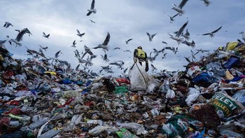 Karya Djurdjina Tomic Foto: Viewsonic ColorPro Awards