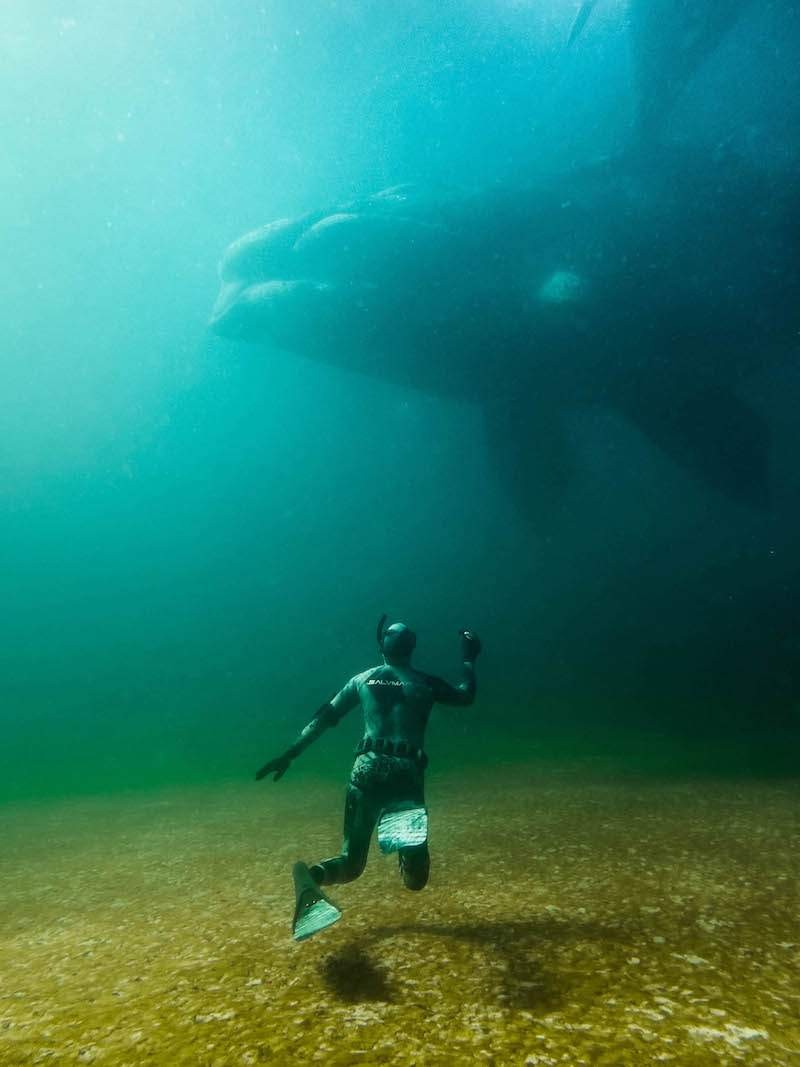 Viewsonic ColorPro Awards 2021