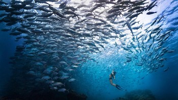 Top 10, karya Khaichuin Sim dari Malaysia yang menampilkan keindahan Pulau Sipadan. Foto: Viewsonic ColorPro Awards