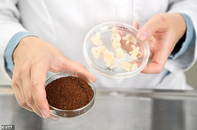 7 Makanan Masa Depan, Wagyu Cetak 3D hingga Foie Gras Buatan Lab!