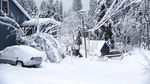 California Memutih Akibat Badai Salju