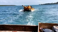 Benda yang disebut sebagai kendaraan tempur itu dibawa ke posmat Kijang dengan cara ditarik menggunakan pompong kayu nelayan.