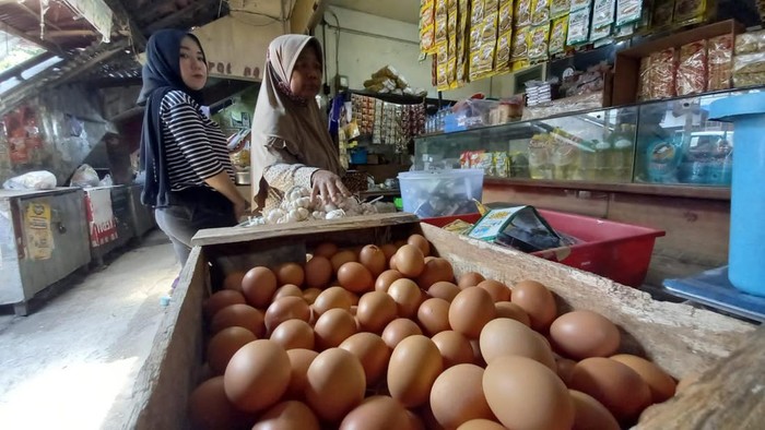 Harga telur ayam di Tegal tembus Rp 33.000/Kg