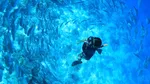 Foto: Selami Keindahan Laut Maldives