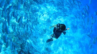 Foto: Selami Keindahan Laut Maldives