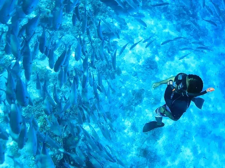 Foto: Selami Keindahan Laut Maldives