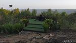 Foto: 7 Spot Instagramable Hutan Pinus Mangunan