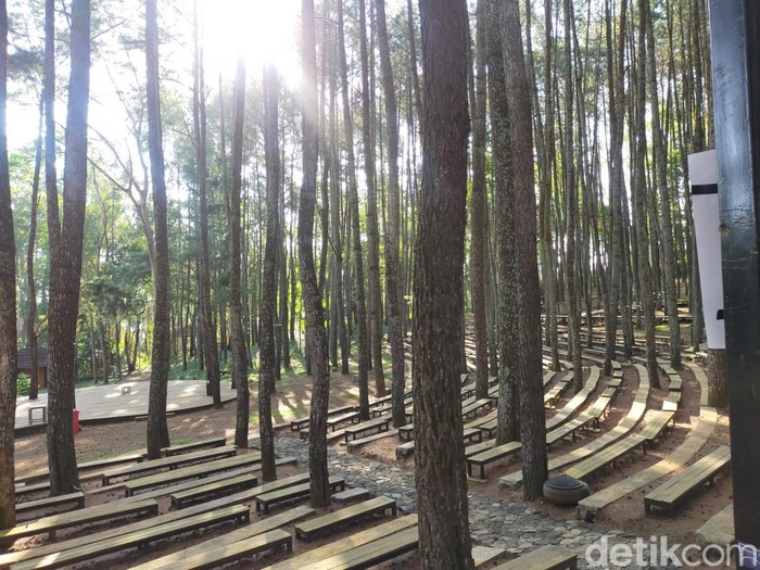 Foto 7 Spot Instagramable Hutan Pinus Mangunan 0908