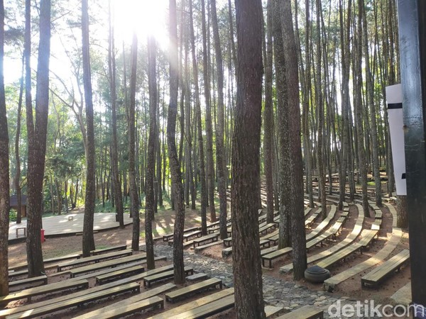 Spot ini bernama panggung sekolah hutan. Banyak bangku-bangku yang tersedia untuk wisatawan bersantai atau berfoto. (Tasya Khairally/detikcom)