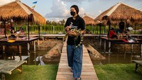 Beberapa spesies yang sering dijadikan peliharaan, yaitu biawak sabana (Varanus exanthematicus), biawak sungai nil (Varanus niloticus), biawak hijau (Varanus prasinus), dan biawak buaya (Varanus salvadorii).