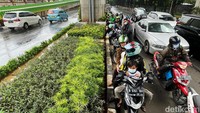 Saat hujan, para pengendara kendaraan roda dua memang kerap berteduh di bawah jembatan, underpass, atau jembatan penyeberangan orang.