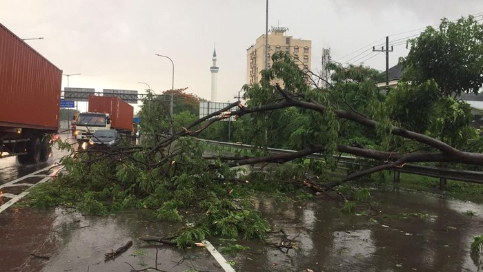 pohon tumbang timpa mobil di tol