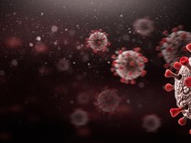 Eks Direktur WHO Beberkan 4 Fakta Seputar HMPV, Virus yang Mewabah di China