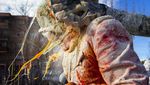 Serunya Saling Lempar Tepung dan Telur di Festival Spanyol