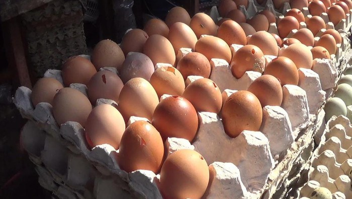 telur bentesan di pasar kota blitar