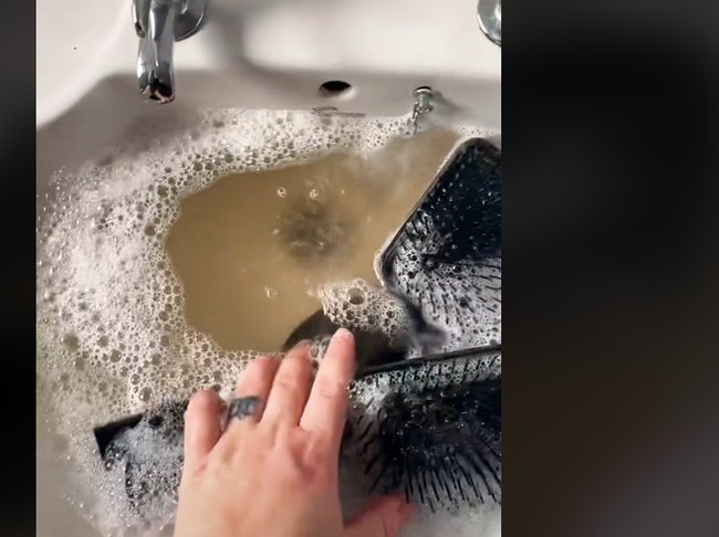 Viral sisir rambut bisa kotor.