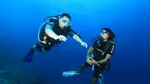 Foto: Selami Keindahan Laut Maldives