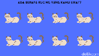 Kira-kira ada berapa jumlah kucing seluruhnya, ya?
