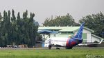 Bandara Halim Bakal Ditutup untuk Revitalisasi, Ini Penggantinya