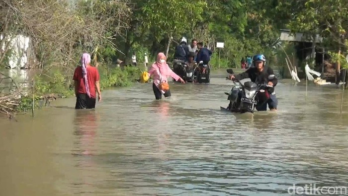 Sungai Bengawan Njero di Lamongan kembali meluap sehingga jalan antarkecamatan terendam hingga satu meter. Ojek motor roda tiga beraksi membantu warga.