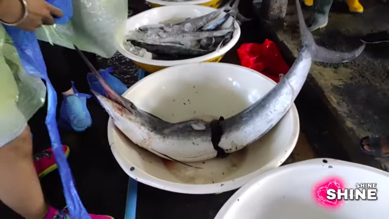 Ngakak! Bule Rusia Belanja Ikan di Pasar Muara Angke Tawar Harga jadi Lebih Mahal