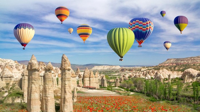 Hot air balloons flying over a field of poppies and rock landscape in Love valley at Cappadocia, Turkey