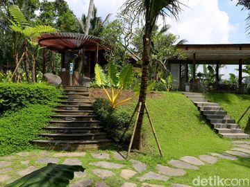 Mau Kongkow Sambil Liat Pemandangan Sawah, Ini Tempatnya