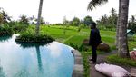 Mau Kongkow Sambil Liat Pemandangan Sawah, Ini Tempatnya