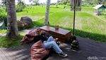 Mau Kongkow Sambil Liat Pemandangan Sawah, Ini Tempatnya