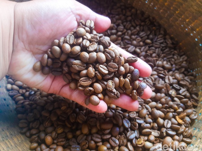 Kopi Sajang, Kopi Arabika di Kaki Gunung Rinjani