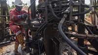 Ada dua lapangan yang terkenal di Blok Rokan, yakni Lapangan Minas dan Lapangan Duri. Dua lapangan ini menjadi tulang punggung produksi Chevron kala itu dan juga nasional.