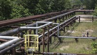 Selain dikirim dengan menggunakan kapal tanker, minyak produksi Blok Rokan juga disalurkan langsung ke kilang Refinary Unit (RU) II Dumai dengan menggunakan pipa.