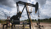 Dulunya blok ini dikuasai oleh Caltex yang merupakan cikal bakal PT Chevron Pacific Indonesia. Perusahaan Amerika Serikat ini sudah mengebor sekitar 11.000 sumur minyak yang dilakukan hampir 100 tahun silam.