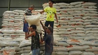 Dirut Perum Bulog Budi Waseso menjelaskan stok beras yang dimiliki pemerintah aman untuk konsumsi nasional hingga awal triwulan I 2022.