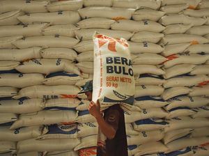 Stok Aman, Bulog Wacanakan Ekspor Beras ke Arab Saudi dan Malaysia
