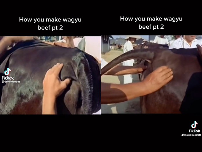 Sapi Wagyu Dipijat Sebelum Disembelih